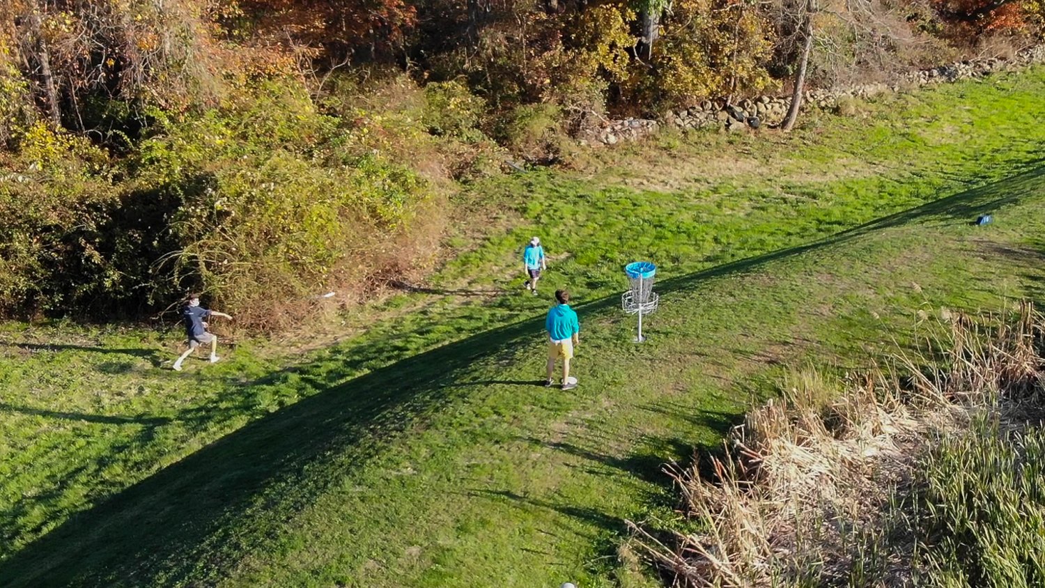 Three students play disc golf on RWU's new course