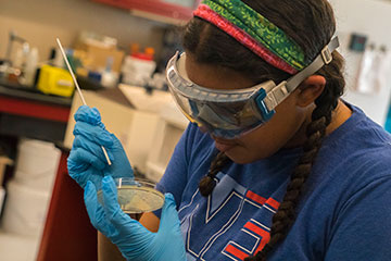 A student examines a petri dish in a lab