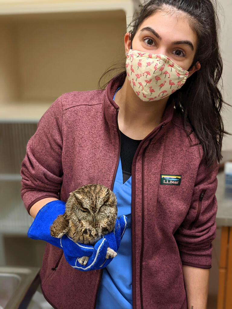 Stephenson holds an owl, drawing on her experience caring for birds and other exotic animals.