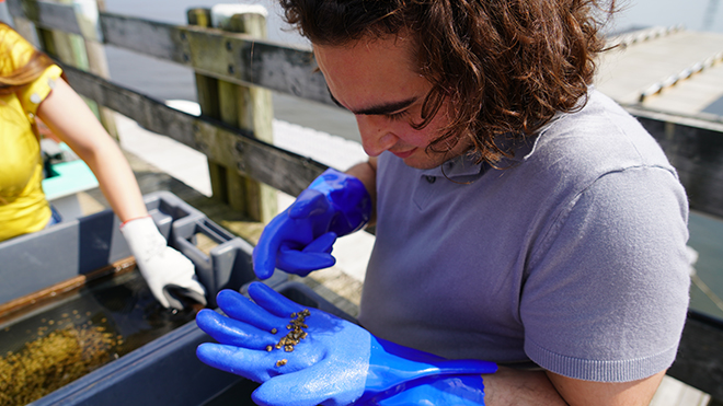 Journalists and Marine Biology students examine young oysters while learning about their role in coastal restoration.