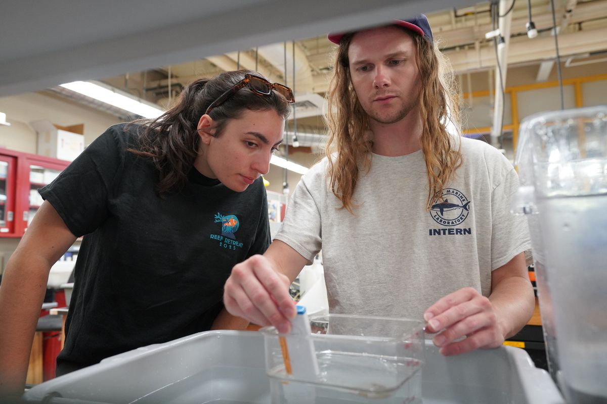 Student researchers work in the Wet Lab as part of ongoing RWU efforts to study and spawn astrangia poculata.