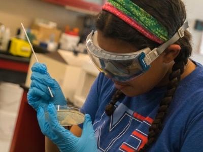 Student examines petri dish