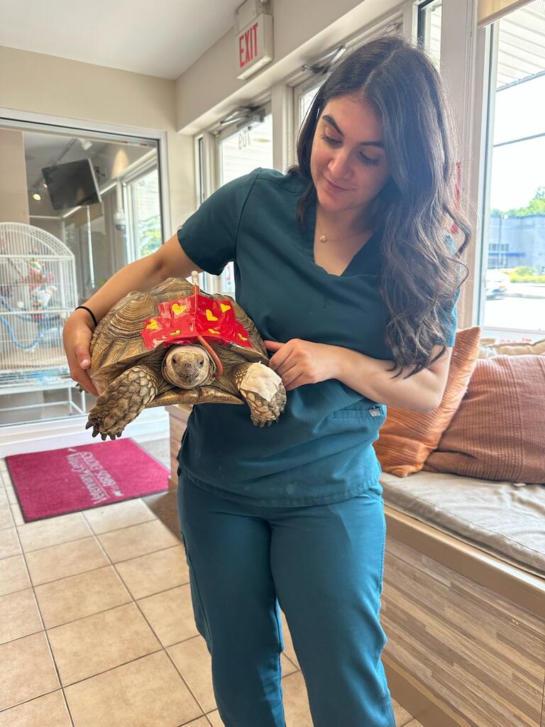 Stephenson holds a turtle, one of the many reptiles she has cared for throughout her career in animal health.