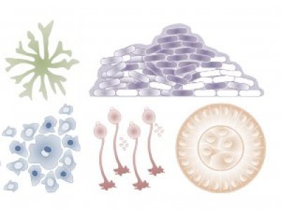 Microbial Communication Image