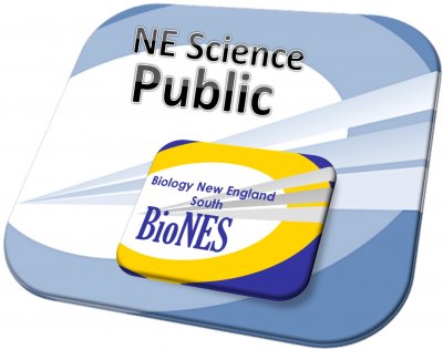 NESP BioNES Image