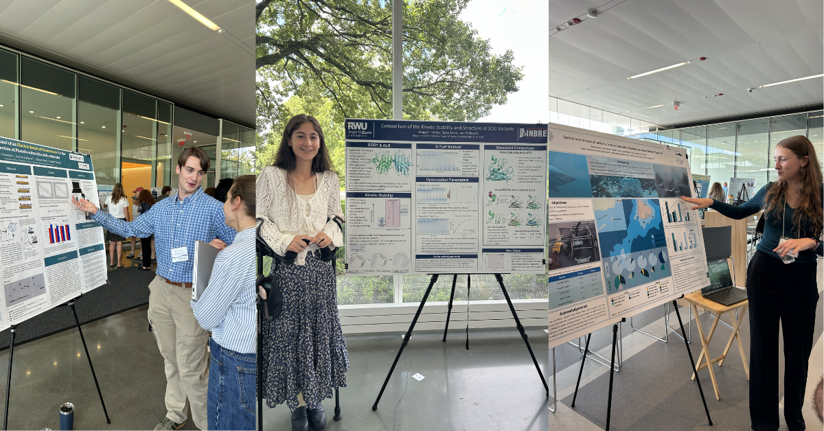 Collage of 3 images side by side. All three images show students standing next to science project poster they are presenting.