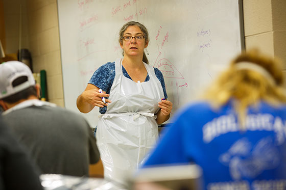Professor at whiteboard.