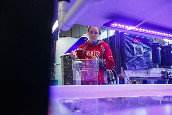 Student in wet lab.