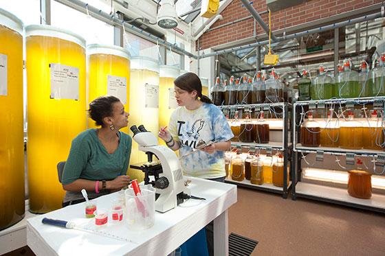 Students in research lab.