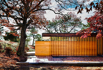 Gray Organschi Architecture