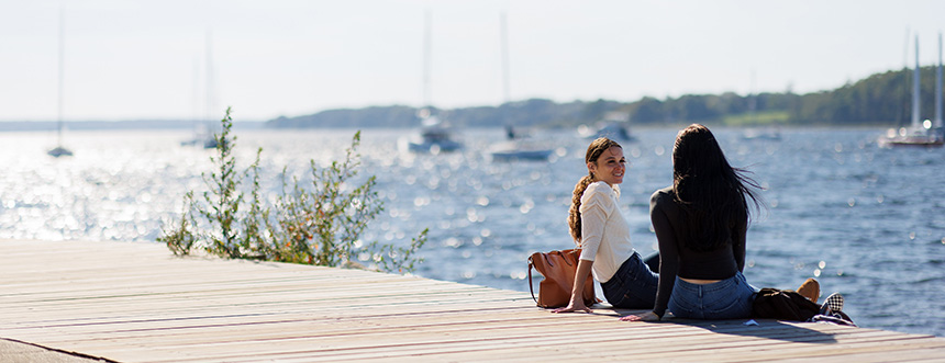 Students relax by the bay