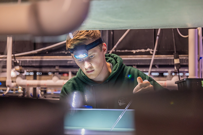 Student working in lab with headlamp