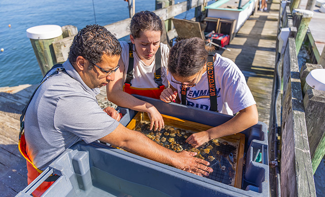 Students work with professor on the RWU learning platform
