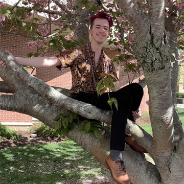 Kieran Binney sits in a flowering tree