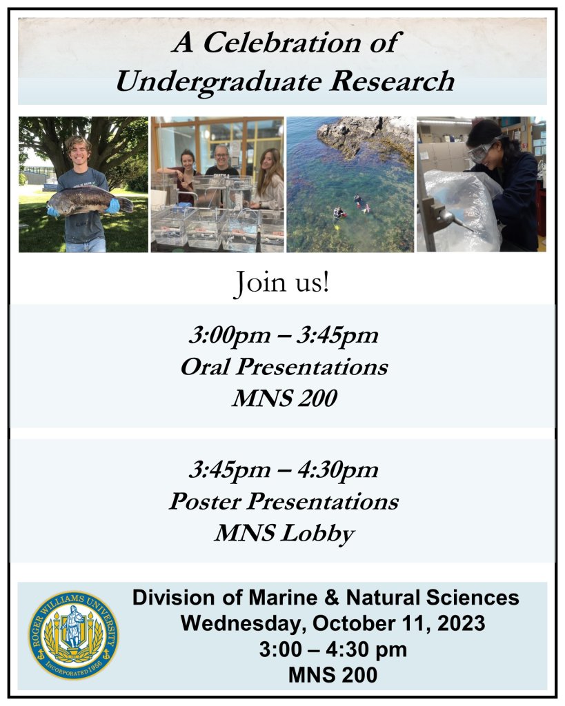 Celebration of Undergraduate Research Poster