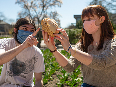Two students hold and inspect a plasticized human brain.