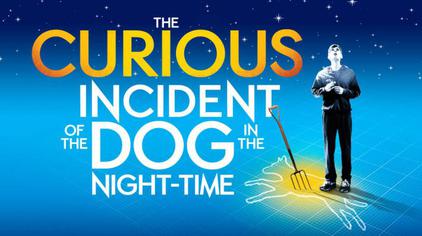 Curious Incident of the Dog at Night-Time