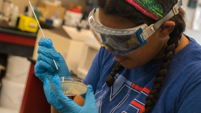 Student examines Petri dish