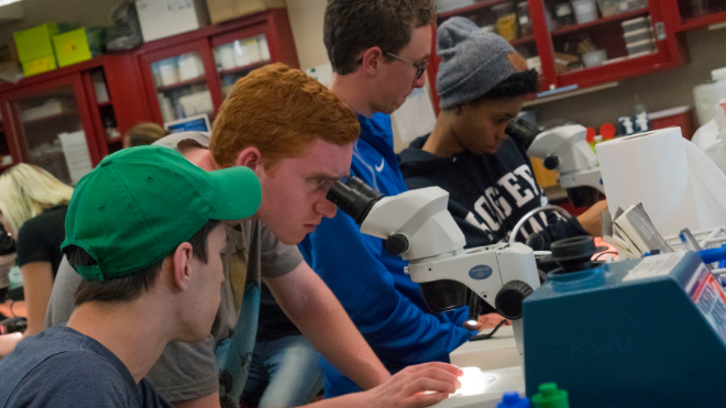 Students look in microscope