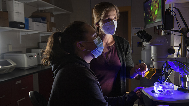 Professor Koty Sharp and a student looking at Astrangia through a microscope