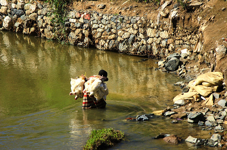 A man walks accross a muddy river carrying two live chickens