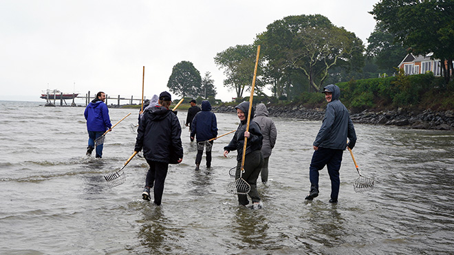 Law students wading into Narragansett Bay with rakes and buckets