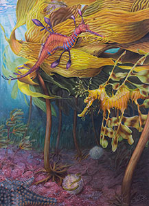 Illustration of seahorse.