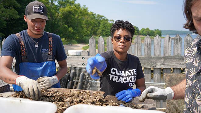 RWU students and visiting journalists team up to shuck oysters, gaining a deeper understanding of the labor and science behind aquaculture.