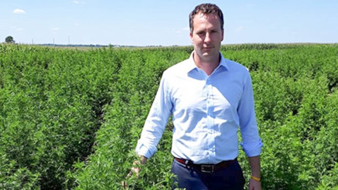 Adam Maust stands in the first field of artemesia grown by the University of Kentucky.