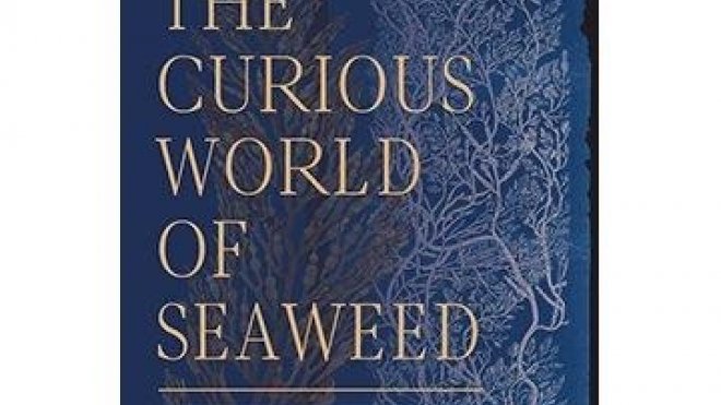 Book cover The Curious World of Seaweed