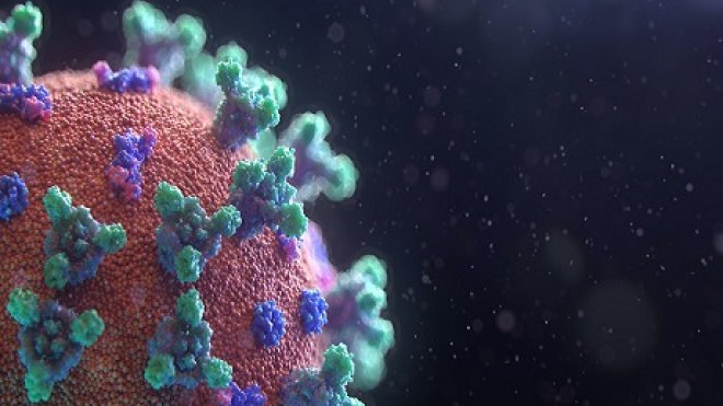 Coronavirus image