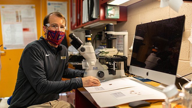 Professor examines coral specimen in his lab.
