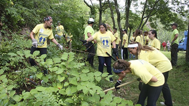 Students clear brush in public park.