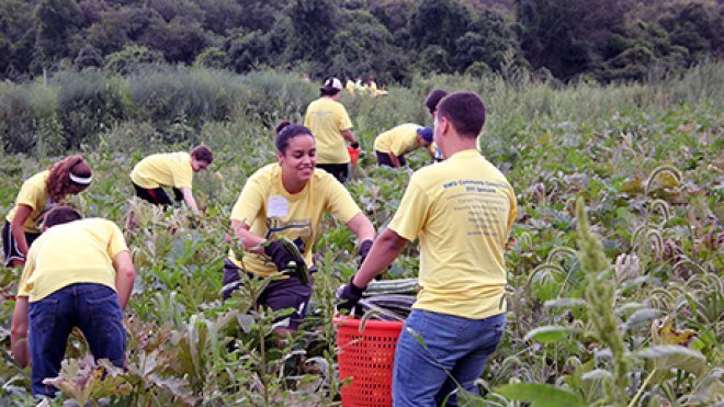 Students plant a vegetable garden.