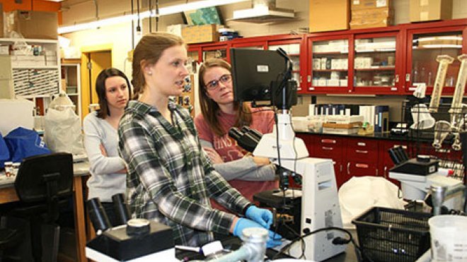 Students examine specimen under a microscope.