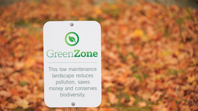 Green Zone sign on campus.
