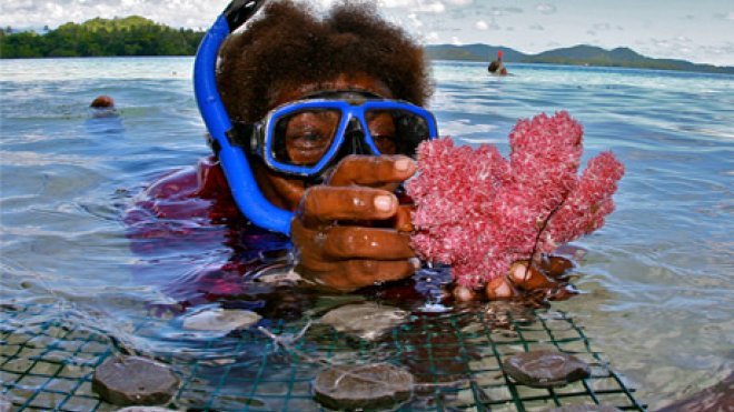 Scuba diver surfaces with coral