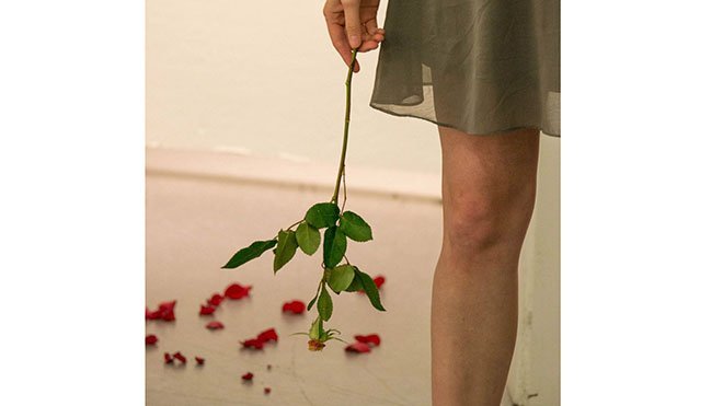 Person holds rose with petals fallen