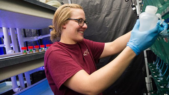 Research Rundown: Innovative Science at the Wet Lab | Roger Williams ...