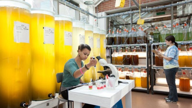 Students work in the wet lab