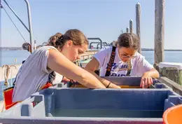 Students learning on the RWU Learning Dock