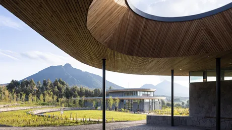 Dian Fossey Gorilla Fund, 2022