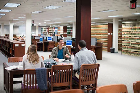 Students study in the library.