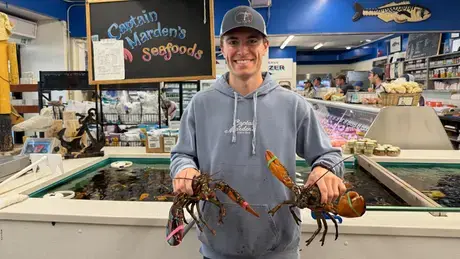 Roy Marden holds two lobsters in front of the tank at Captain Marden’s Seafoods.