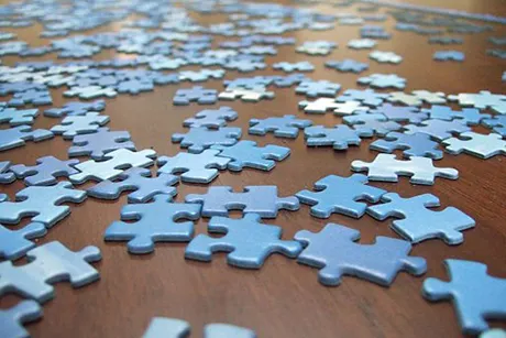 Puzzle Pieces