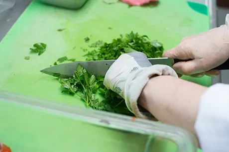 cilantro being cut