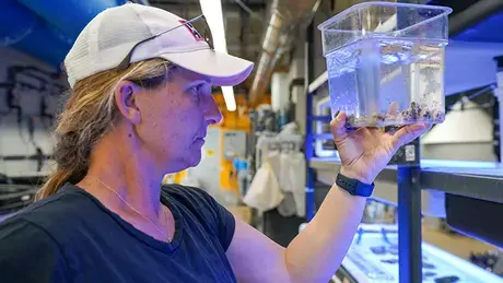 Koty Sharp, CEED Director and Associate Professor of Marine Biology and Environmental Science.