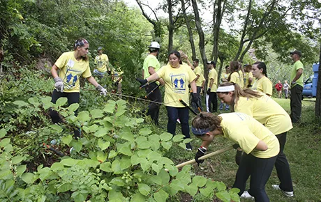 Students clear brush in public park.