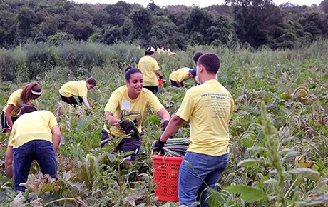 Students plant a vegetable garden.