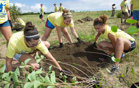 Students plant a vegetable garden